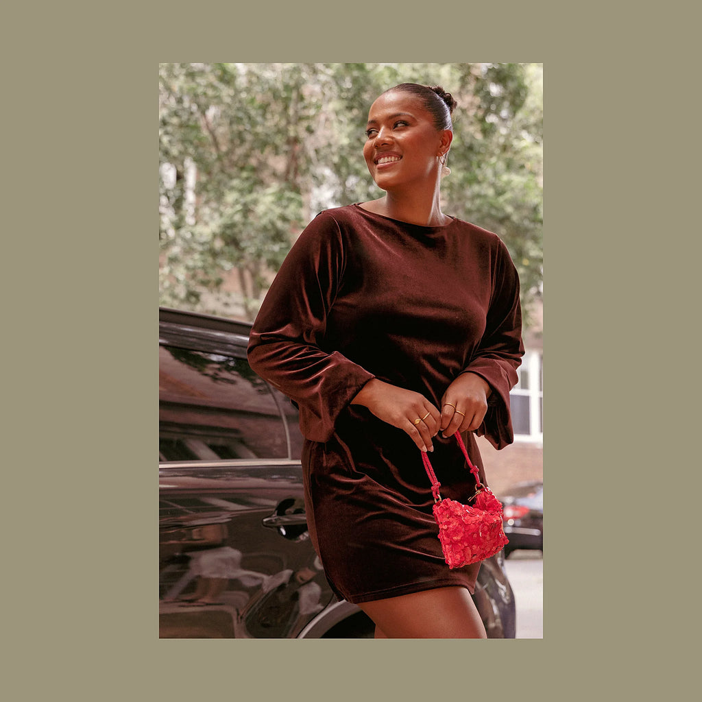 Twylar Long Sleeve Velvet Mini Dress - Brown